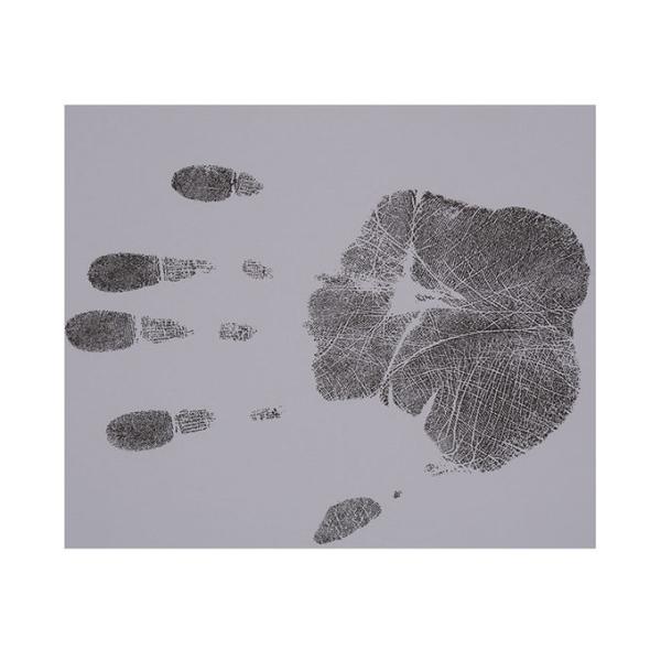 E009 BTNY-V High polymer full palm print pad