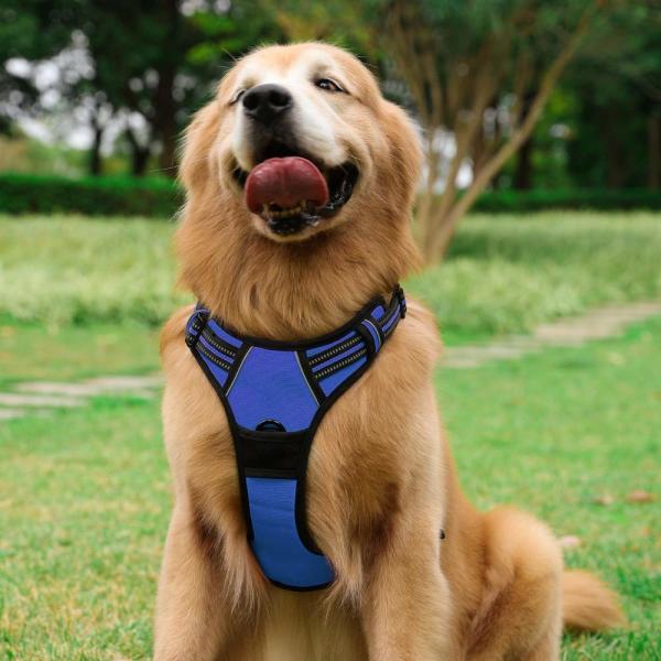 Da veste macia do animal de estimação de Oxford o cão de nylon aproveita a limpeza fácil com correia reflexiva