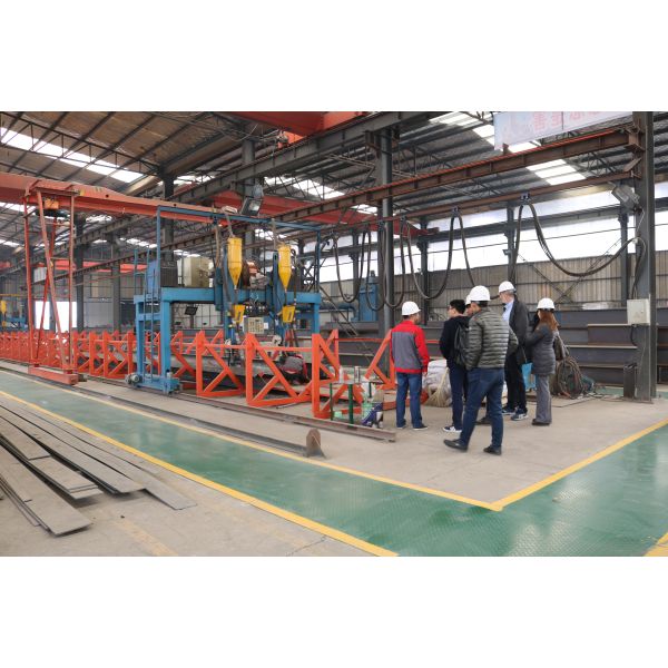 Full Automatic Broiler Ground Raising Equipment with Hot-Dip Galvanized Chicken House System Customizable for Poultry Farming