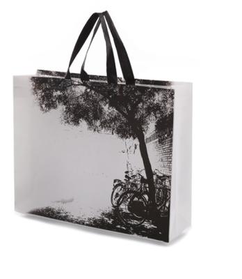 Poliéster de nylon dobrável de empacotamento reciclado dos sacos do polipropileno dos PP