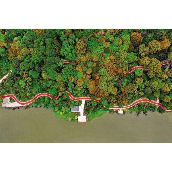 Organic Fertilizer Fulvic Acid 60% Potassium Fulvate Potassium 10% Brown Powder