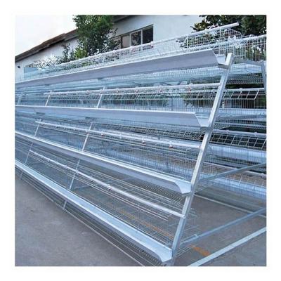 A Type 108 Birds Broiler Chicken Cage Automatic Feeding