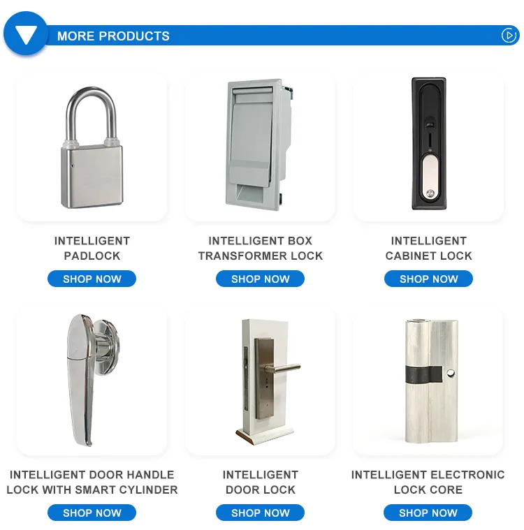 Advanced Fireproof Door Lock Cores for Protection