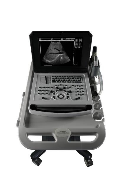Ginecologia da obstetrícia do ultrassom de Doppler da cor de Ecografo Portatil 3D 4D 5D