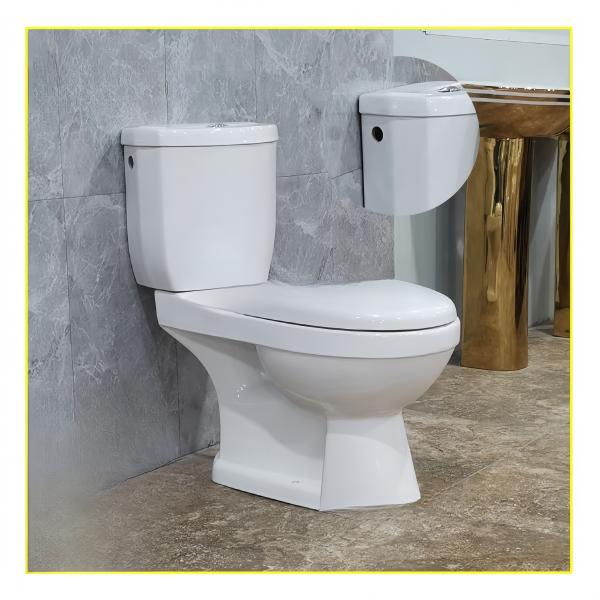 Dual-Flush Traditional Design Comfortable Washdown Water Closet Toilet Seat for Bathroom