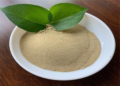 Soy Protein Hydrolysis Free Amino Acid 80% Light Yellow Powder