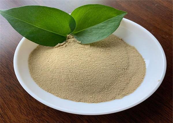Soy Protein Hydrolysis Free Amino Acid 80% Light Yellow Powder