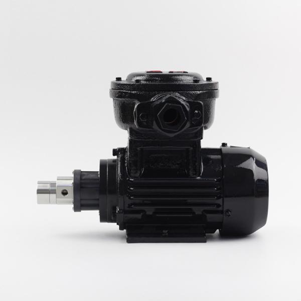 FLOWDRIFT Stainless Steel  No Leakage Magnetic Gear Pump Composed By AC Explosion- Protection Drive Device