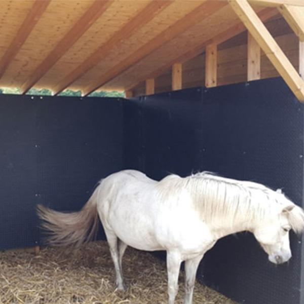 10mm EVA Wall Mat Horse Stall Wall Padding Waterproof Foam Protector Wall Corner Protecting Your Horse