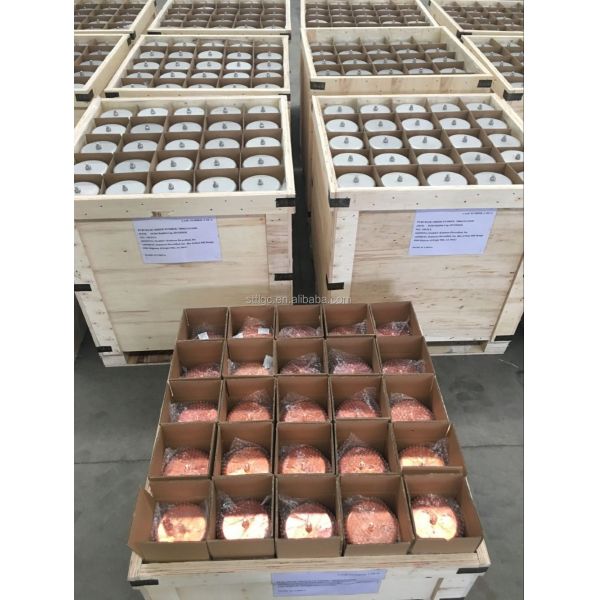 Metal Duplex Titanium PVDF PP ABS Bubble Cap Tray PT Test