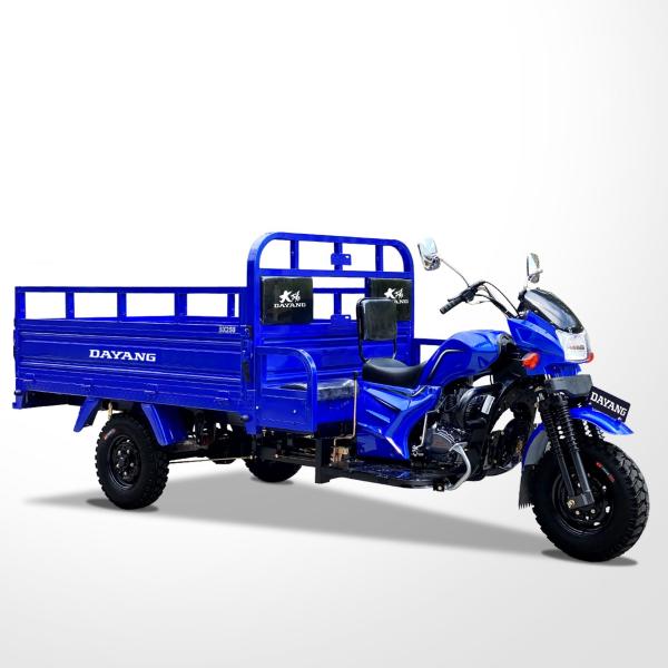 Fuel- 150cc Cargo Motorcycle with 800KG Loading Capacity and 10-20L Fuel Tank Capacity