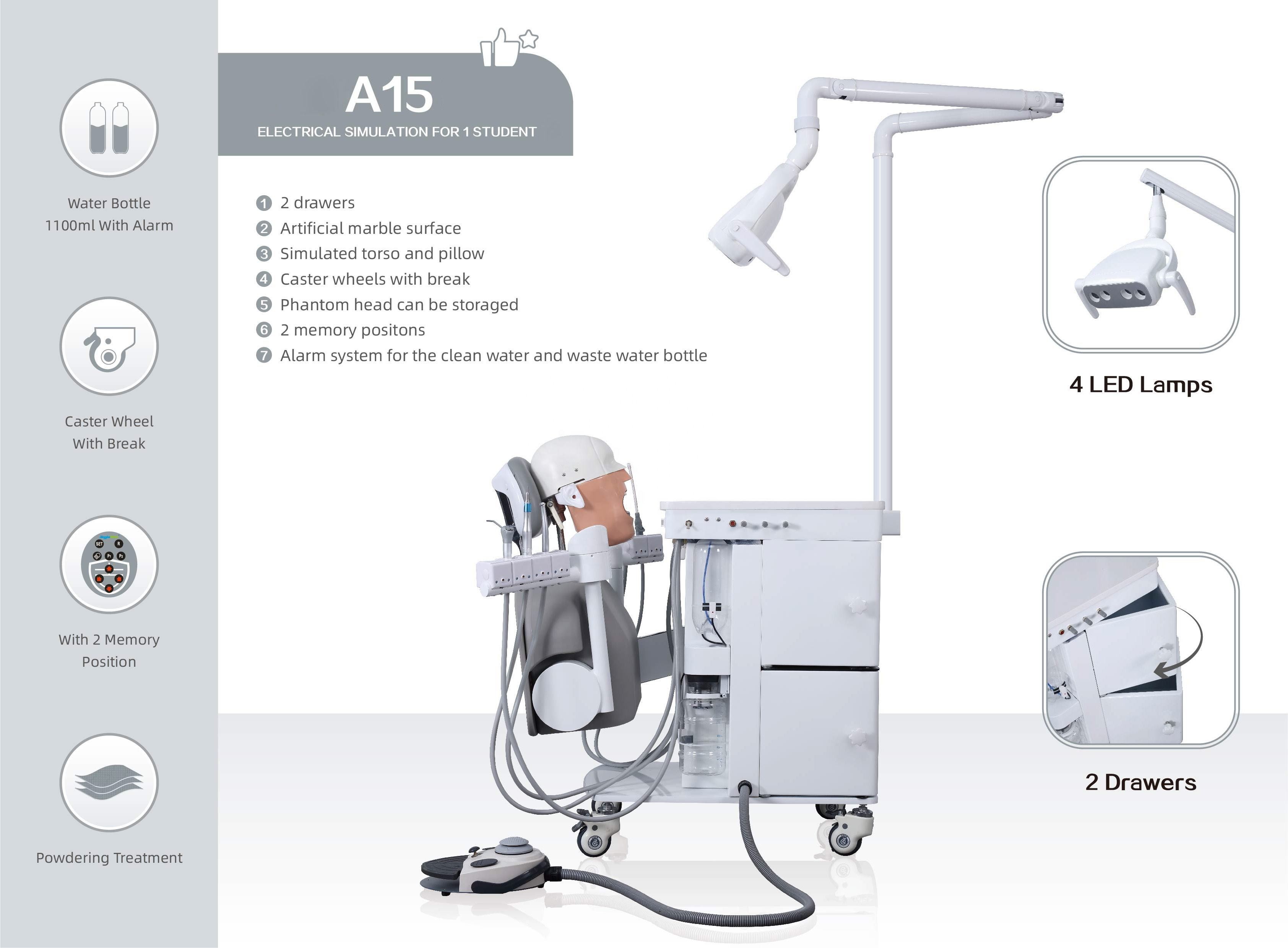 Имитатор A1 A3 A15 практически фантомной головы OEM зубоврачебный для студентов