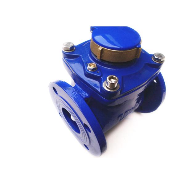 Dry-dial Woltman Water Meter 2 1/2 Inch Removable LXLG-65B