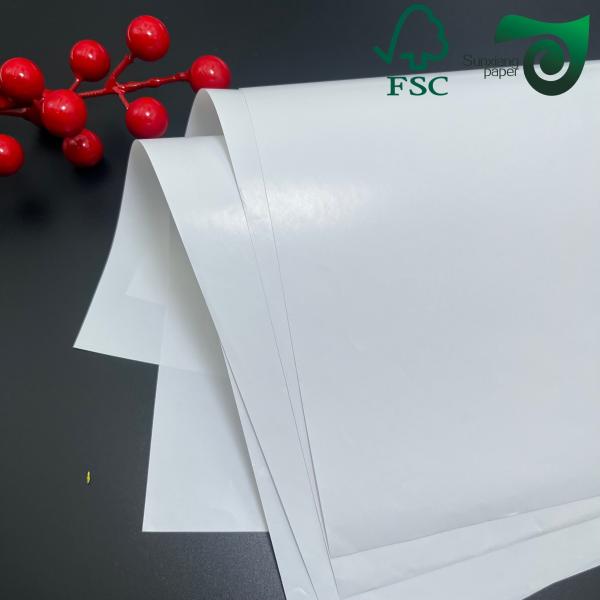 FSC 250g 260g RC Satin Inkjet Photo Paper Roll Pigment Ink Compatible 24 44 100ft