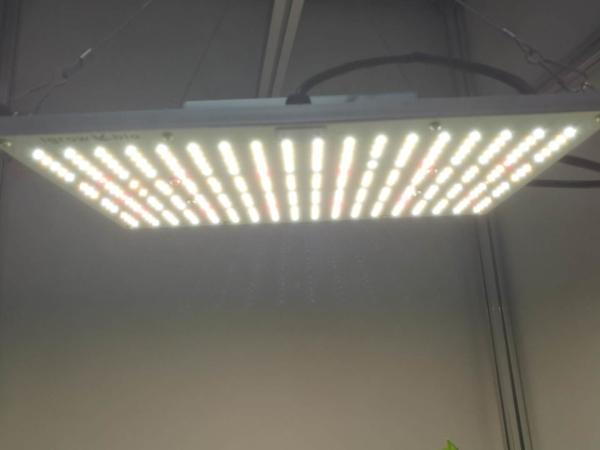 ETL 120W High PPFD Grow Light For Commercial Cultivation