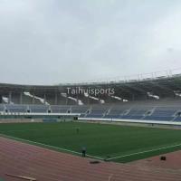 Absorbeur de choc à l'herbe artificielle de 10 mm pour les terrains de football, de rugby, de hockey et de baseball