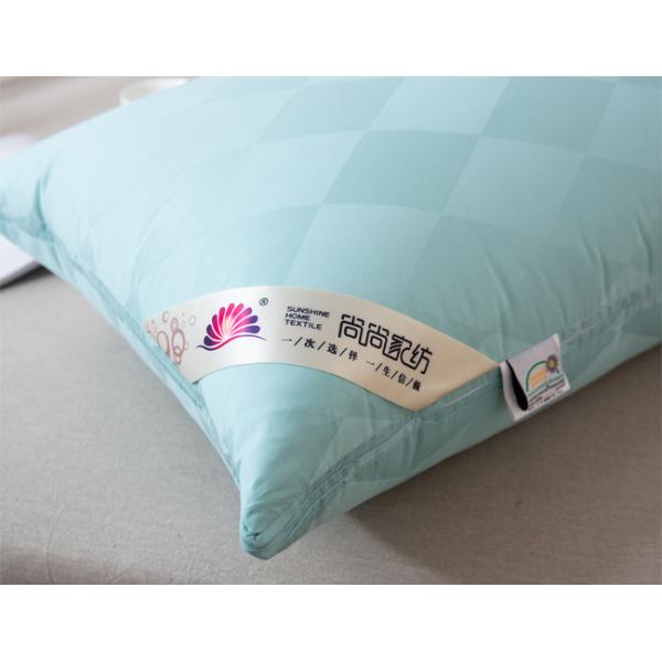 48x74cm 100% Cotton Goose Down Feather Pillow