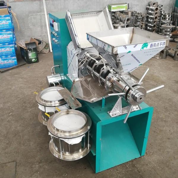 Home use oil pressers mini screw oil pressing machine oil extractor