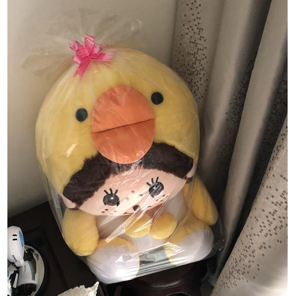 Конфеты вещей свадьбы рождества сумки Organza небольшой большие для подарка игрушки куклы