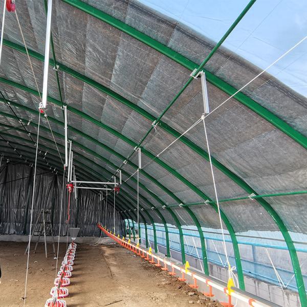 El pollo de la avicultura de la agricultura calentó el invernadero automático