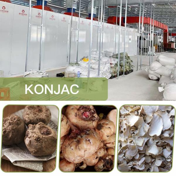 Air Heating Continuous Conveyor Belt Dryers For Seasoning Fruit And Vegetable