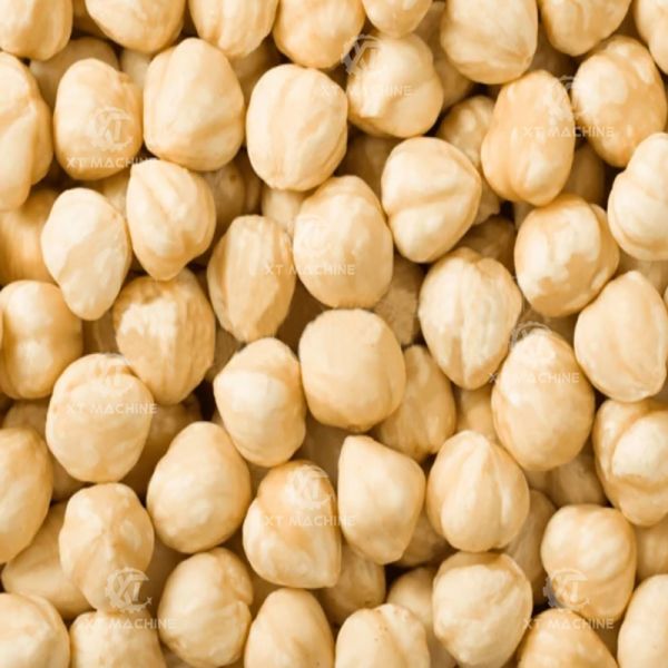 Máquina de blanqueo de cacahuetes por aire de 500 kg/h, peladora de nueces de acero inoxidable