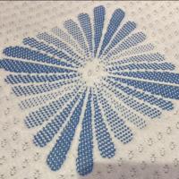 O GV reciclou o poliéster 160gsm fez malha a tela do jacquard para o fundamento