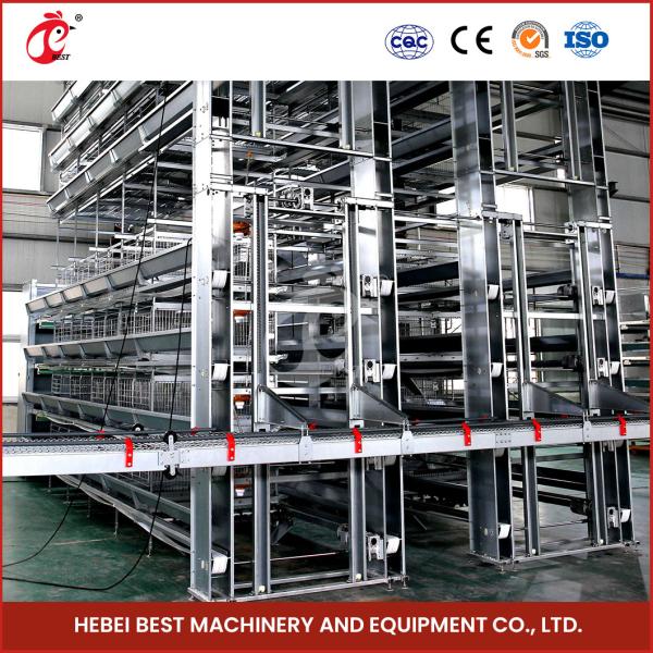 Turnkey Project H Type Automatic Chicken Cage Equipment For Layers Broilers Chicks Star