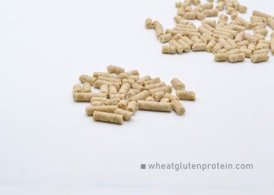 Proteína de glúten de trigo de peletes ligeiramente amareladas Ingrediente de alimento Não OGM