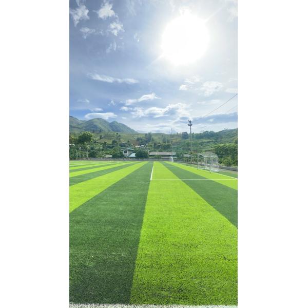 Durable Artificial Football Grass Soccer Field 50mm Height