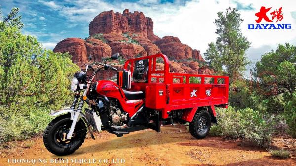 250cc Cargo Tricycle Three Wheels Motorcycle with Tyre 5.00-12 and Open Body Type