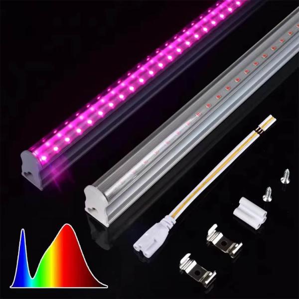 Customized T8 Split Lamp Tube LED Light Source in Pink Color for Project Installation