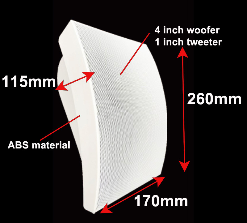 5W 10W Wall Speaker 4 Inch Woofer 1 Inch Tweeter ABS Speaker