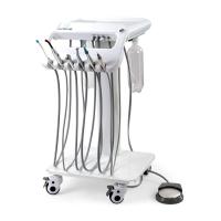 Equipamento de tratamento de dentes de animais de estimação de peso leve