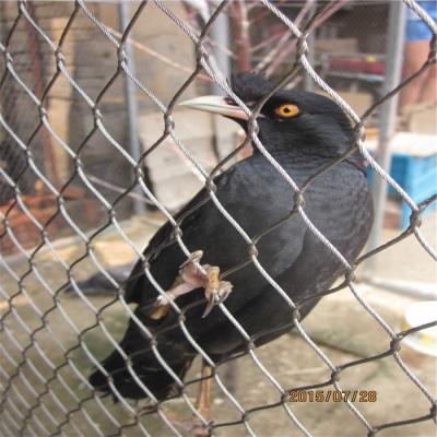 Heavy Duty Metal Bird Cage Screen Mesh X Tend 25*25mm Customized