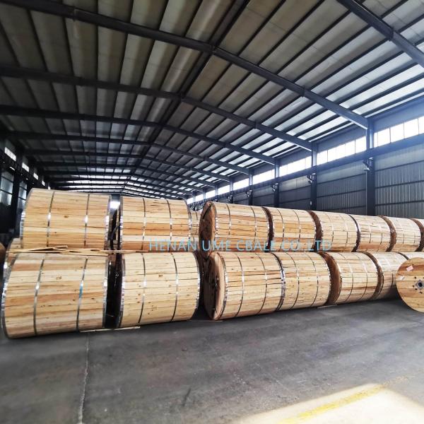 All Aluminum Conductor AAC AAAC for Bare Overhead Power Transmission Line Application