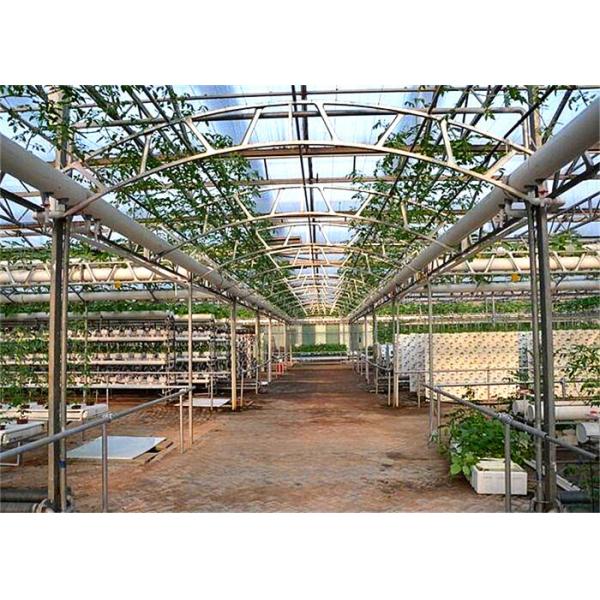Glass Cover Hydroponic Greenhouse Simple Structure With Large Inner Room