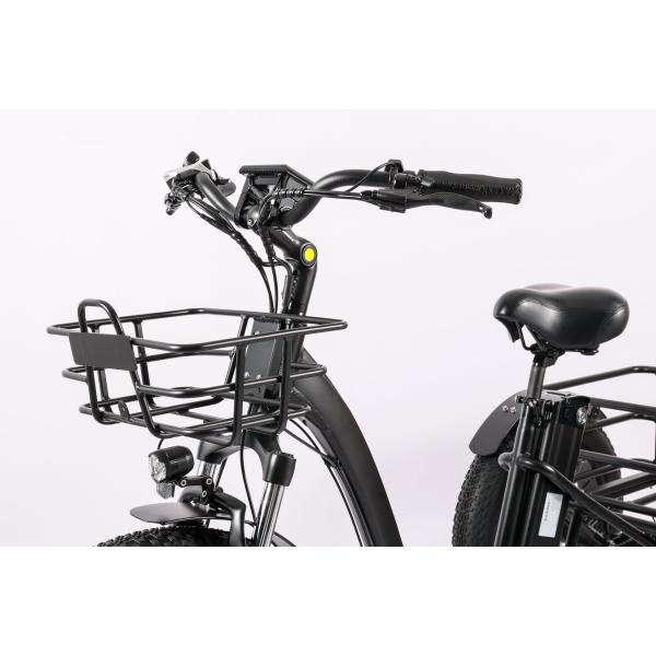 Retro Style DOMANCA High Capacity Family Cargo Bike with 500-750W Rear Hub Motor