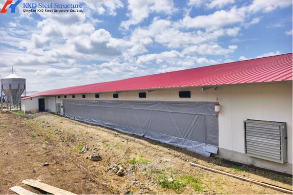 Prefab Steel Structure Poultry Farm House with Q235/Q355 H Section Steel