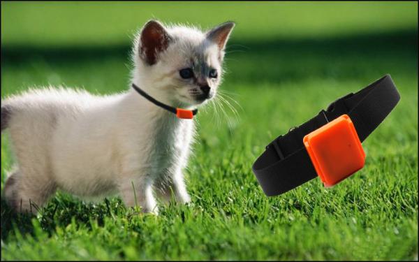 Best selling waterproof mini hidden gps tracker for pets cats dogs birds with sim card 2g 3g gps tracker pet tracker gps