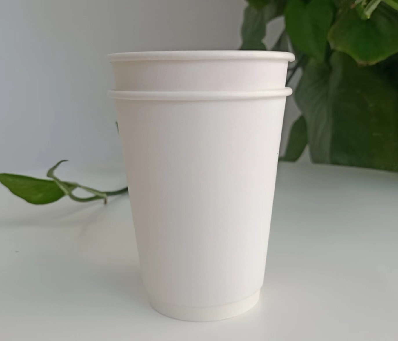 Disposable 12oz 300g 18PE 250 Double Wall Paper Cups 2.5oz-22oz Customized Request