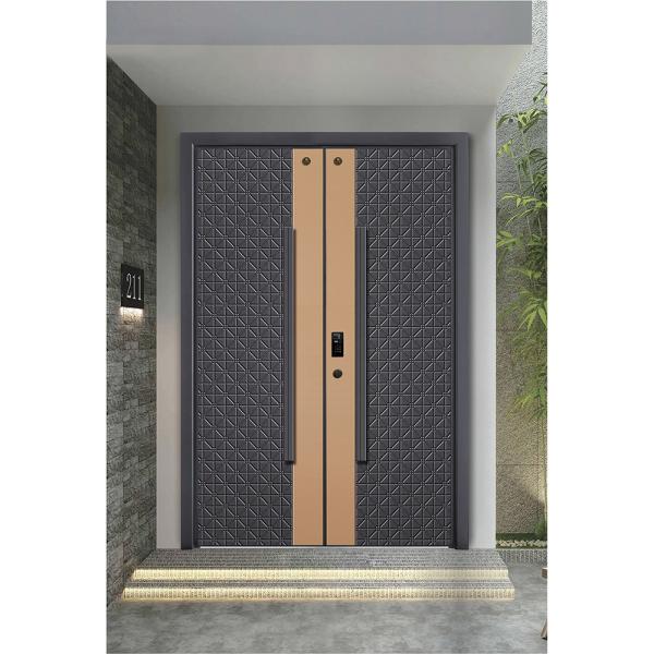 Modern Stainless Steel Entrance Door Exterior Door Smart Lock Front Door For House Gate
