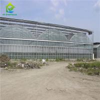Serre chaude hydroponique en verre résistante de crèche pour des légumes