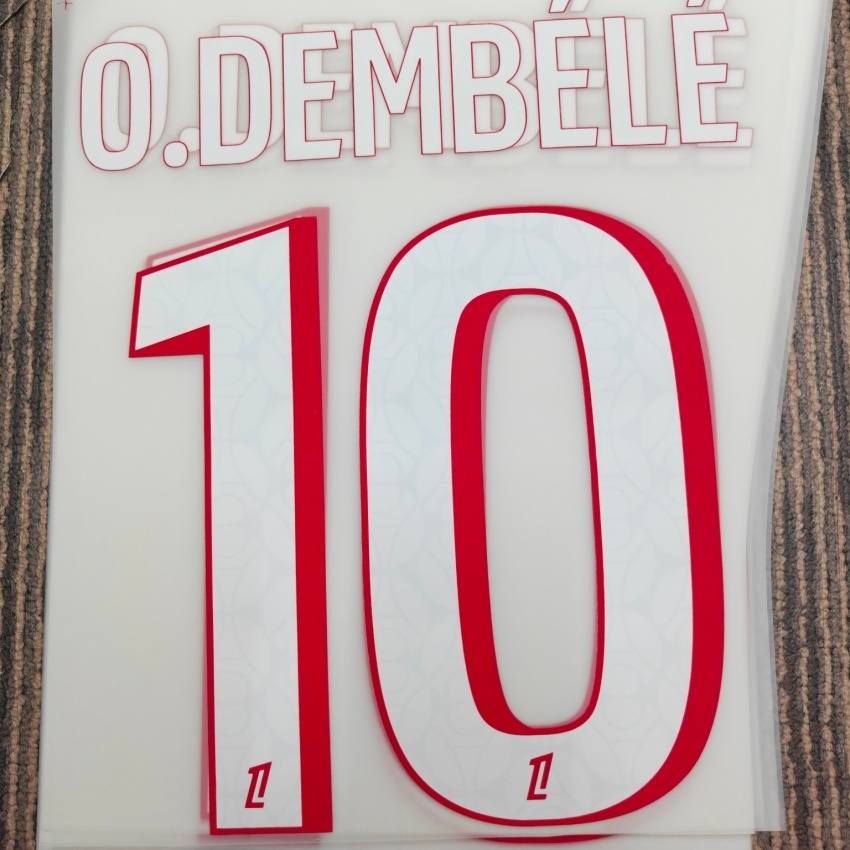 Custom JerseyName and Numbers/ Personalized Number for Clothings/ Personalized outfit LOGOS