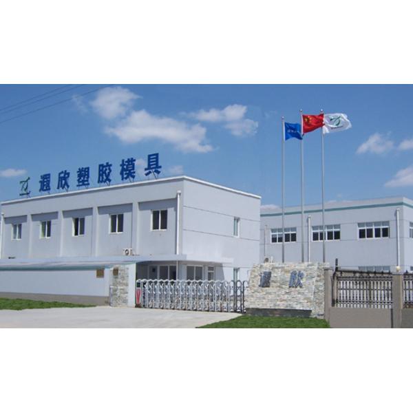 PE HDPE Injection Molding Toys