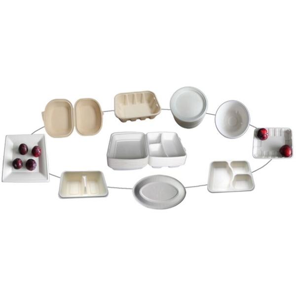 Steam Electricity Dishware Tableware Pulp Molding Equipment 1500~15000Pcs/H