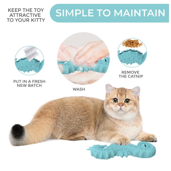 Vente à chaud sans BPA Chien de mer en silicone Puzzle jouet œuf chiot nourriture Slow Feeder Chien d'animaux de compagnie Jouets à mâcher en silicone