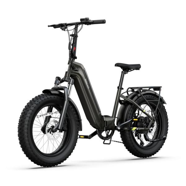 Electric Folding Bike 48V 750W 20x4.0 Fat Tire E-bike Lockable Suspension  Urban Foldable Bicycle