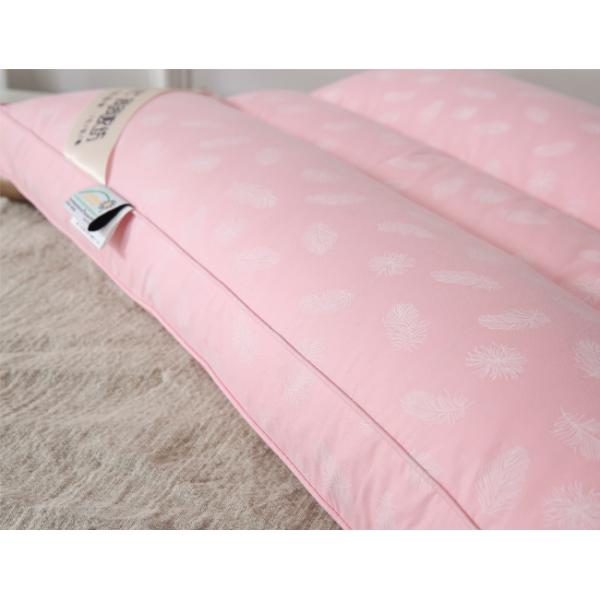 ISO14001 1.5Kg Cotton Down Pillows