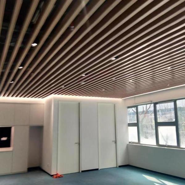 Легкие современные алюминиевые балюстрады